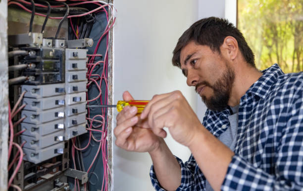 Best Electrical Upgrades for Homes  in Presquille, LA